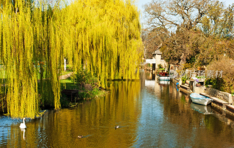 在Godmanchester的River Great Ouse